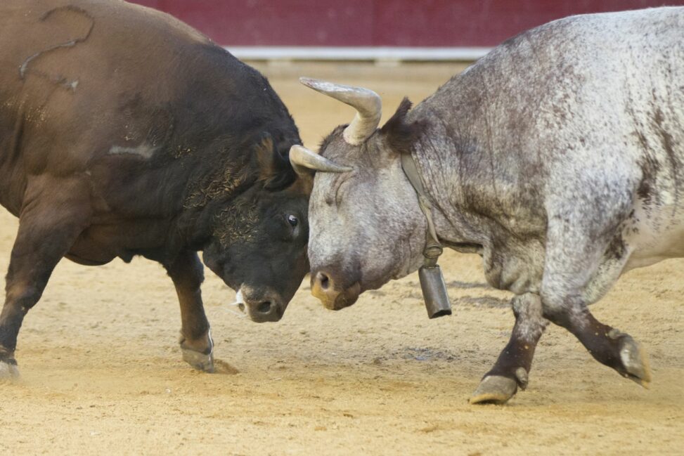 Bulls face a test unlike anything in bitcoin's 17 year history