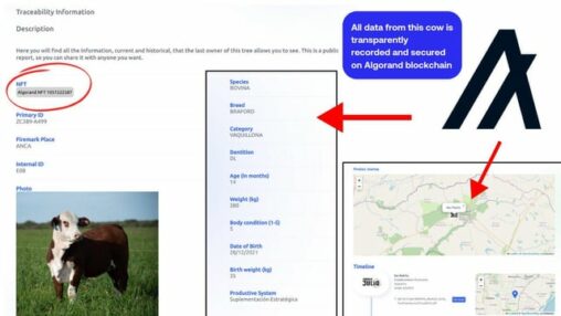 Origino has been tokanizing animals since 2024 ensuring transparency by managing and transferring data throughout the meat production chain, providing consumers with information about certifications, animal age and weight, feed type, product journey, etc!