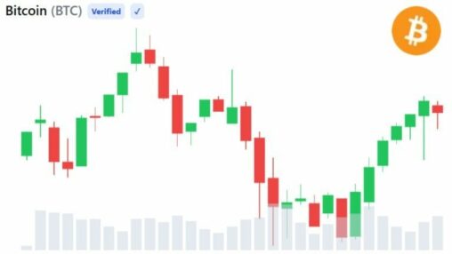 Whale buying hints at bitcoin bottom after worst month since 2022 — 3 signals to watch
