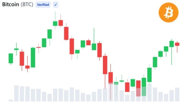 Whale buying hints at bitcoin bottom after worst month since 2022 — 3 signals to watch