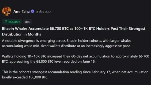 Whales vs. mid tier holders: the dramatic shift in bitcoin ownership splitting the market