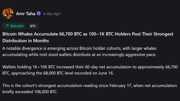 Whales vs. mid tier holders: the dramatic shift in bitcoin ownership splitting the market