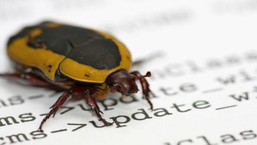 Ai found an ethereum bug that could take validators offline, but humans had to prove it