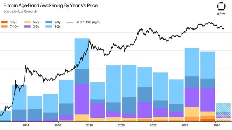 Bitcoin whales are not selling over quantum fears, analyst says