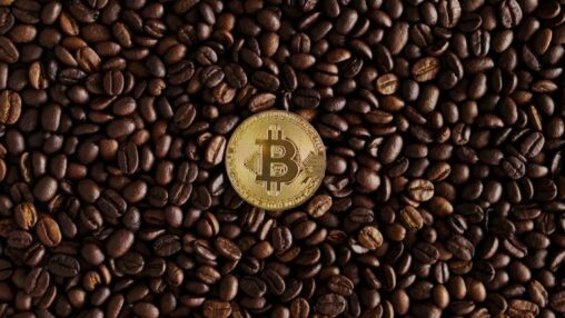 Vanadi coffee’s bitcoin pivot soured by exorbitant board fees and shareholder revolt