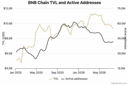 Is bnb chain growing faster in tokenized assets than in real network activity?