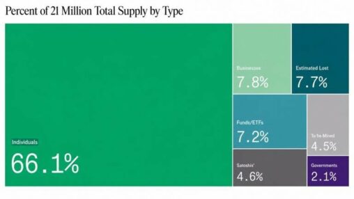 Who actually owns bitcoin? not wall street or institutions — individuals hold 66%, bitwise says