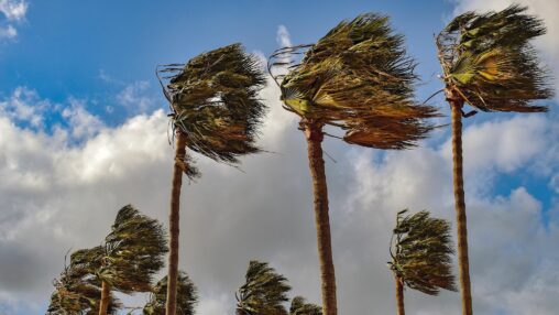 Cluster of headwinds weigh on bitcoin. xrp teeters near $1
