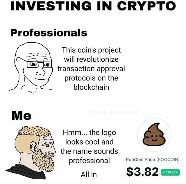 My crypto investment strategy is basically vibes