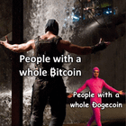 Dogecoin: the best blockchain.