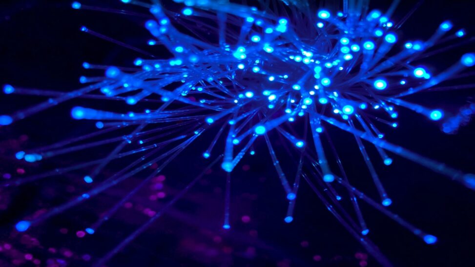 The future of crypto payments won't include on ramps or bridges, fun ceo says