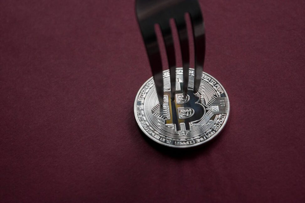 Bitcoin holders risk losing real btc if they sell coins from bip 110 fork, says developer