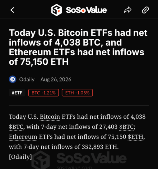 We are back in the game!📈