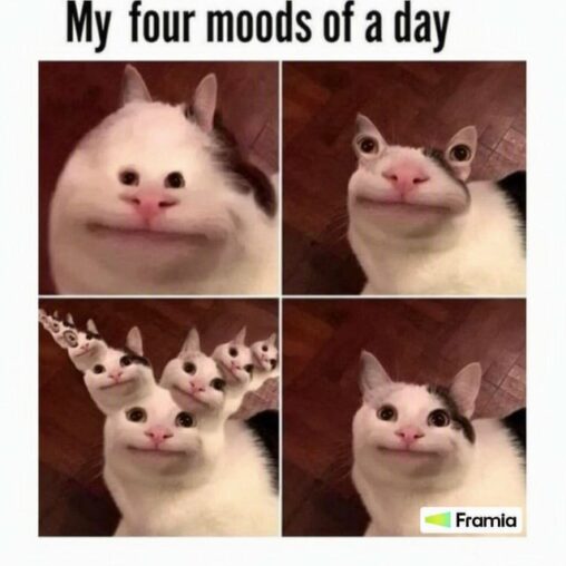Indeed
