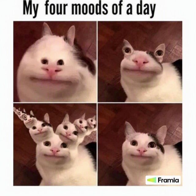 Indeed