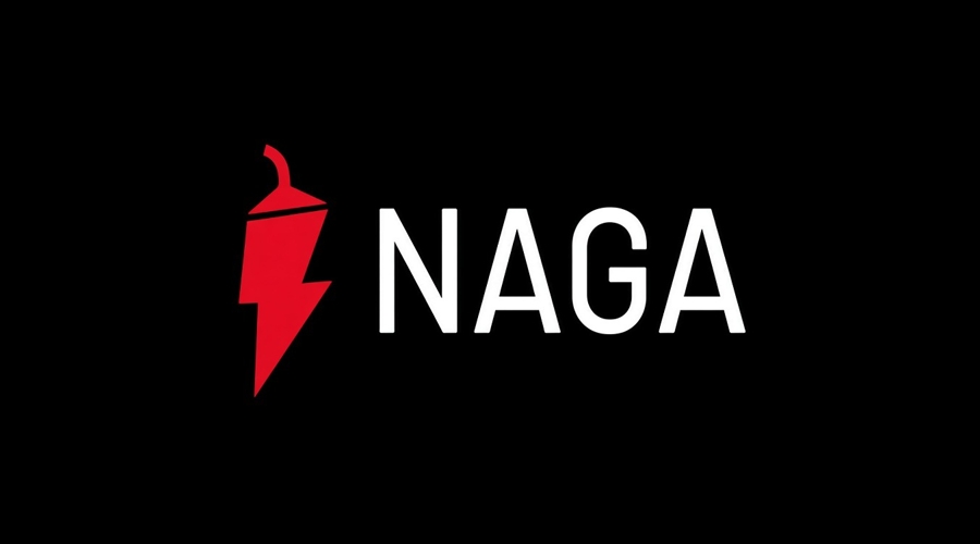 Naga group: lessons from a nine year struggle for profitability