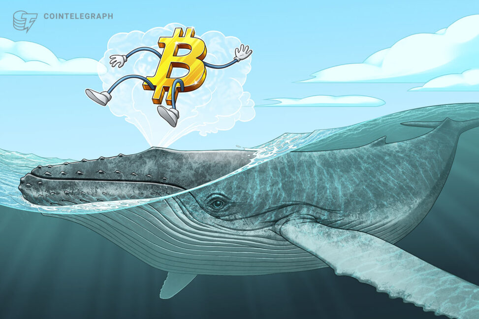 Crypto whales accumulate as bear market nears late stage: cryptoquant