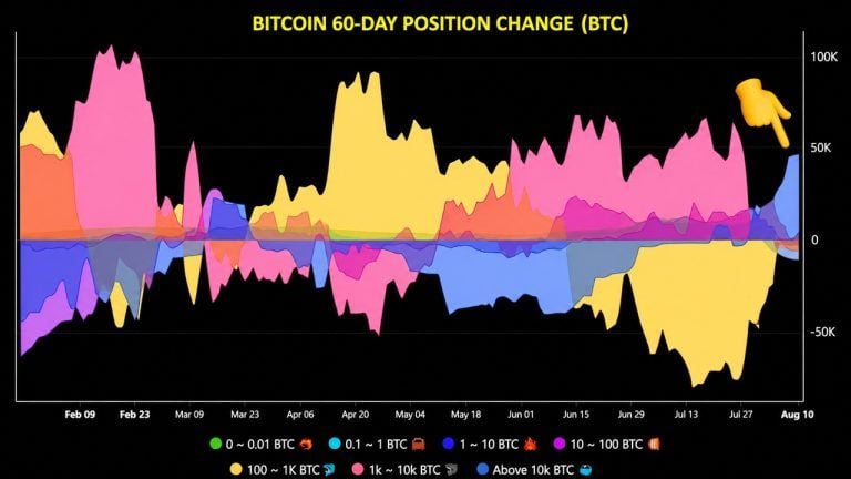 Bitcoin whales add 43,000 btc, ending months long selling spree