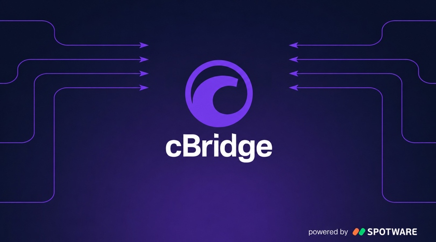 Cbridge connects brokers to lmax perpetual futures with 100:1 leverage on offer