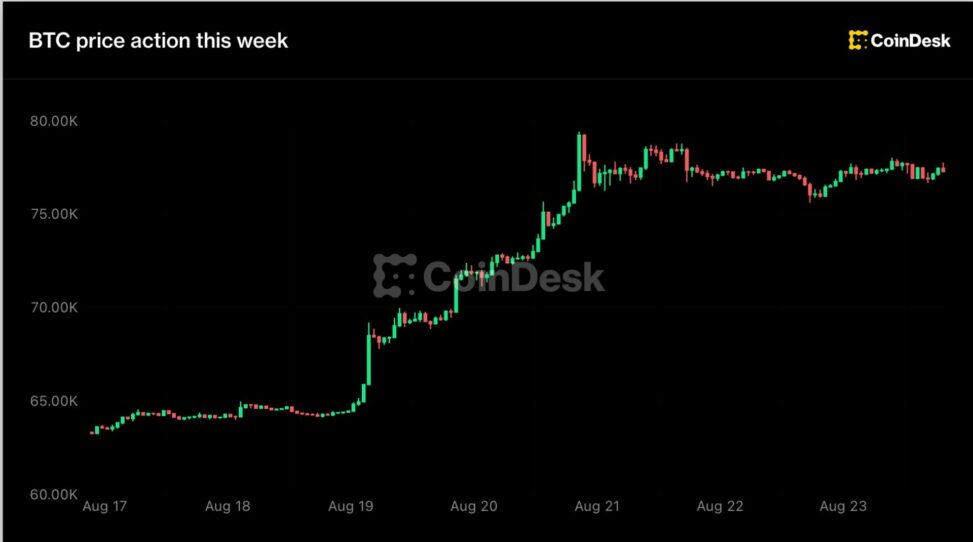 Live updates: bitcoin holds $77,000 as xrp, zcash pull back after a big weekly rally