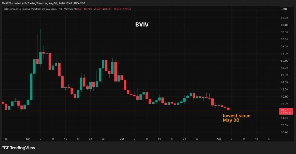 The bitcoin market has plenty of reasons to freak out, yet calm pervades