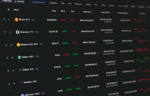 Crypto investors are looking past market cap rankings and back to fundamentals