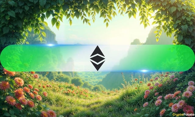 Ethereum just had its best month in a year: can eth keep rallying in august?