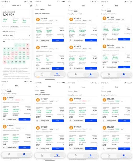 Grid trading: just lucky or i have something here?