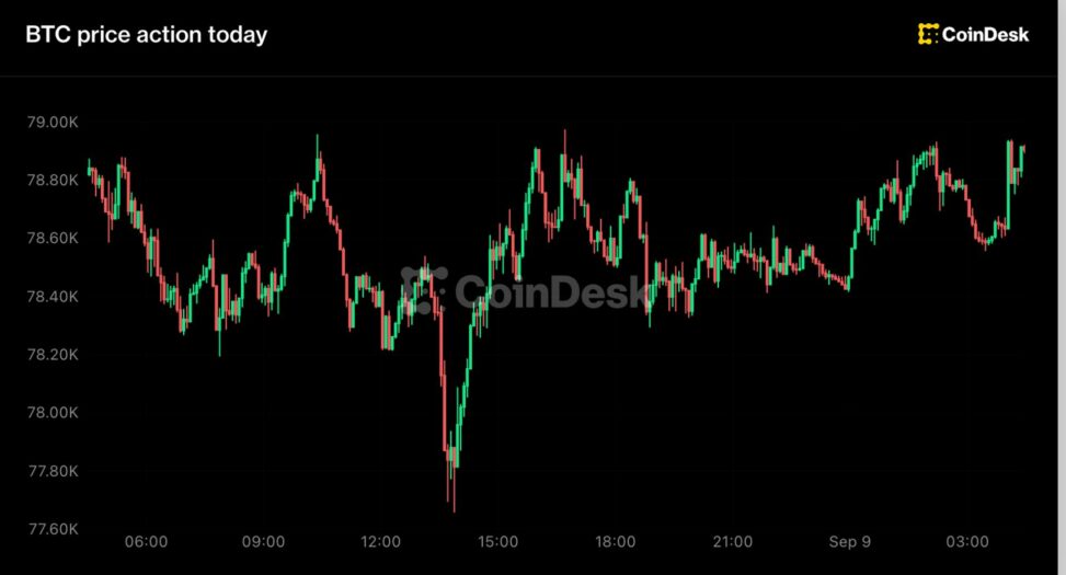 Bitcoin recovers toward $79,000 as zcash records a $500 million etf haul