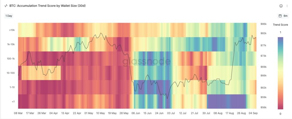 Bitcoin struggles at $83,000 sell wall as whales distribution flip into net selling
