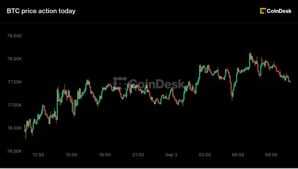 Live updates: crypto majors bounce while global funds run their lowest dollar hedges since 2015