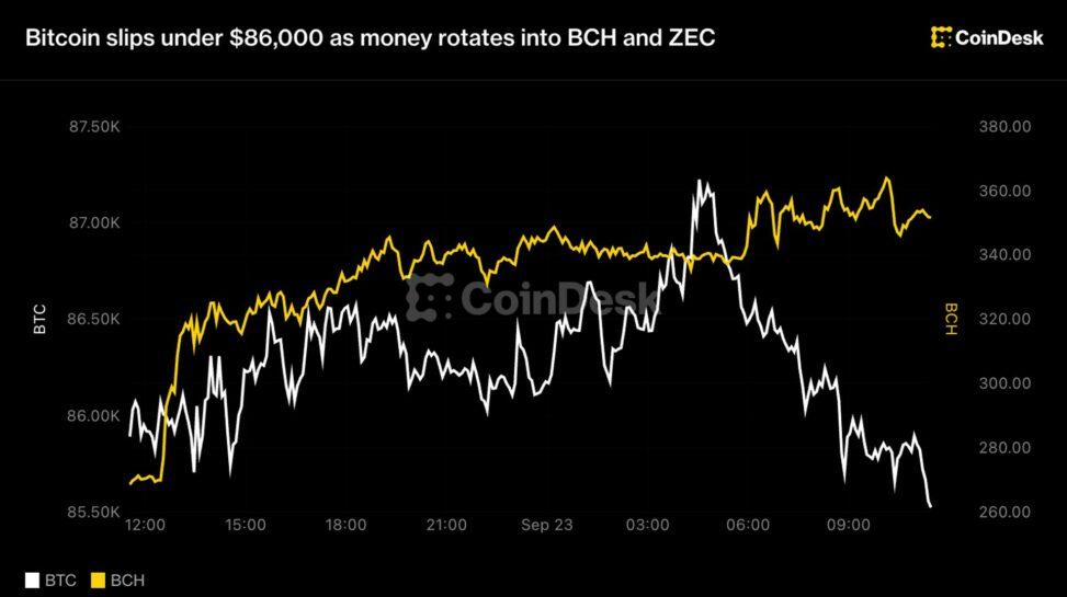 Live updates: bitcoin slips under $86,000 as money rotates into bch and zec