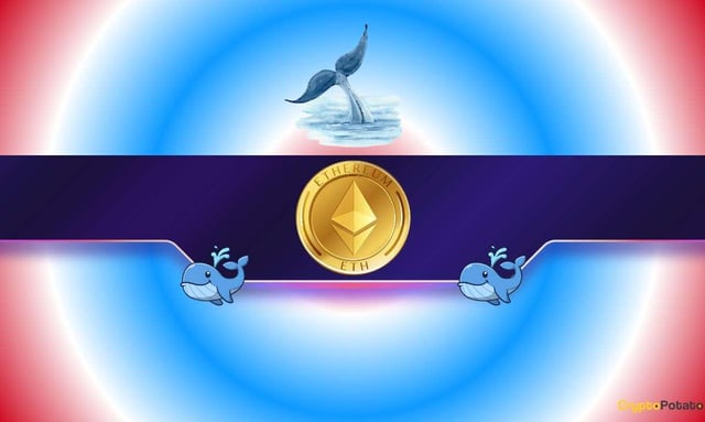 Ethereum whales just woke up as eth exploded to 8 month high: what’s next?