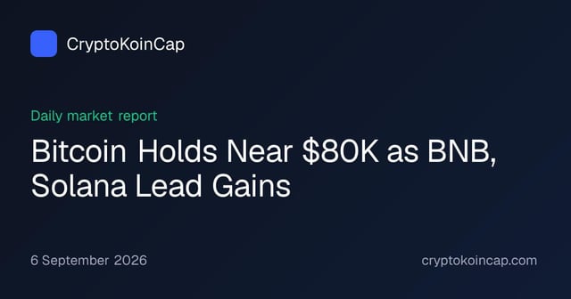 Bitcoin holds near $80k as bnb, solana lead gains