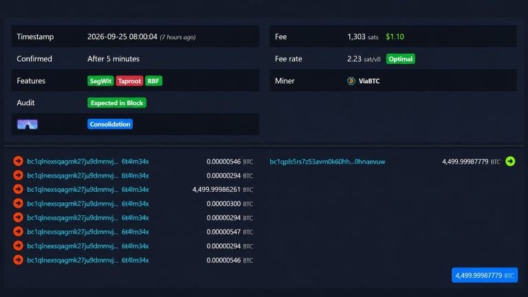 A 2019 bitcoin whale moved $378m and paid just $1 to do it