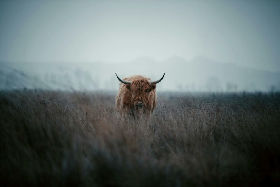 Bitcoin's 44% gain in third quarter teases full blown crypto bull run