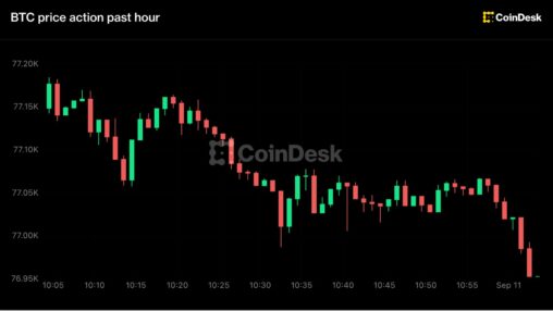 Live updates: bitcoin sinks to $77,000 as cpi lands with hike odds near 70%