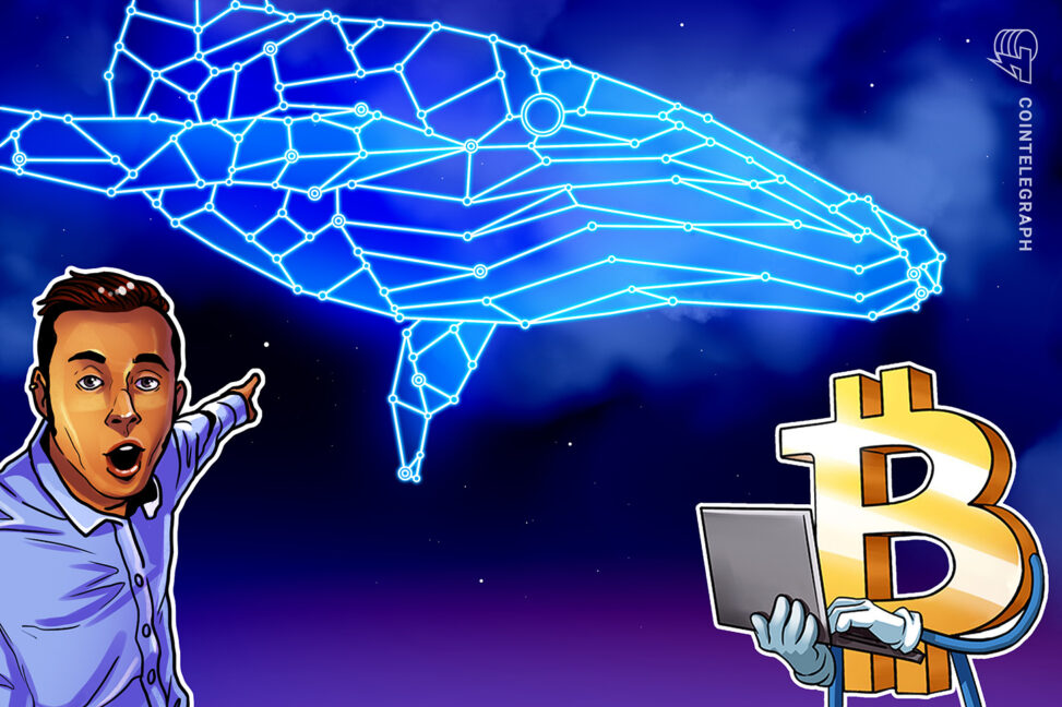 New bitcoin whales spark sell side risk as unrealized gains hit $9b