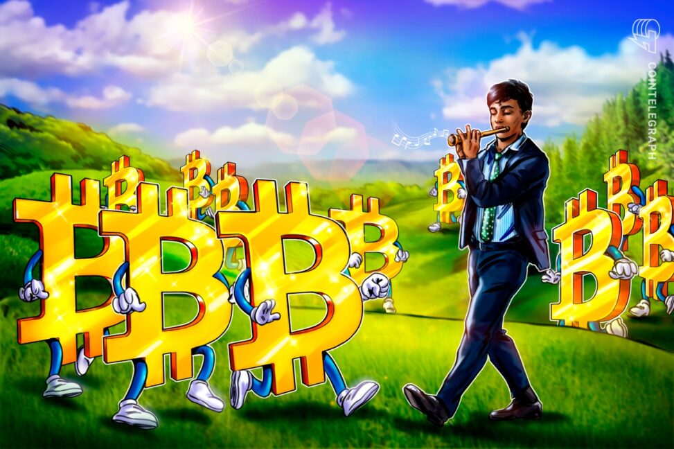 Bitcoin short term holders hit 30 day profit streak as bull market odds improve: cryptoquant