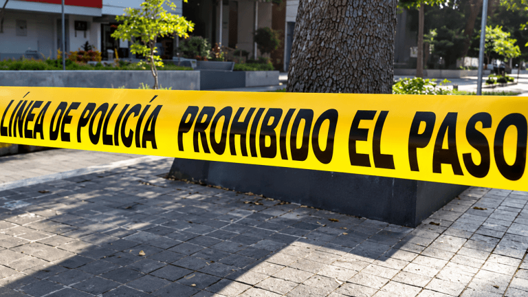 Mexican rock star and family murdered over $1.5m bitcoin wallet