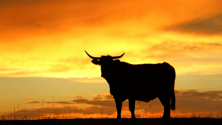 Is the clarity act really (not) needed for bitcoin price to rally?