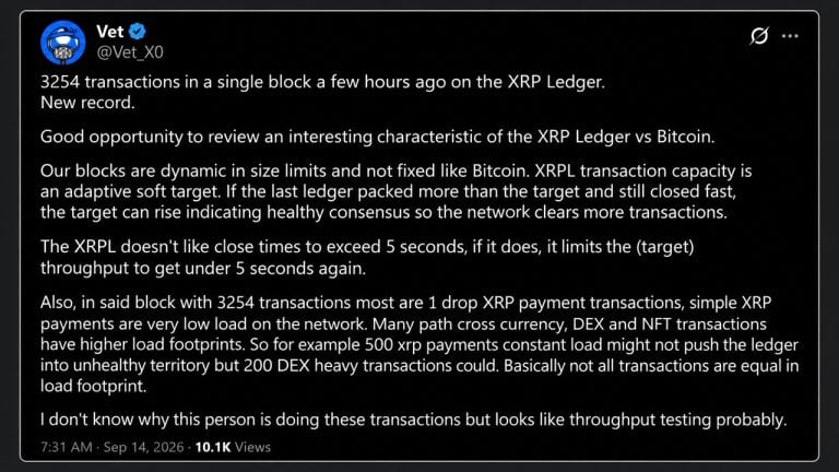 Xrp ledger broke its transaction record, and 20 wallets did most of it
