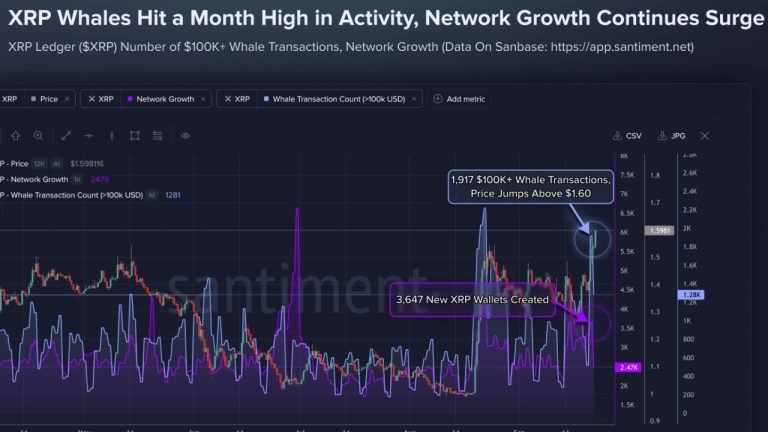 Xrp tops $1.60 as 1,917 whale transactions hit monthly high