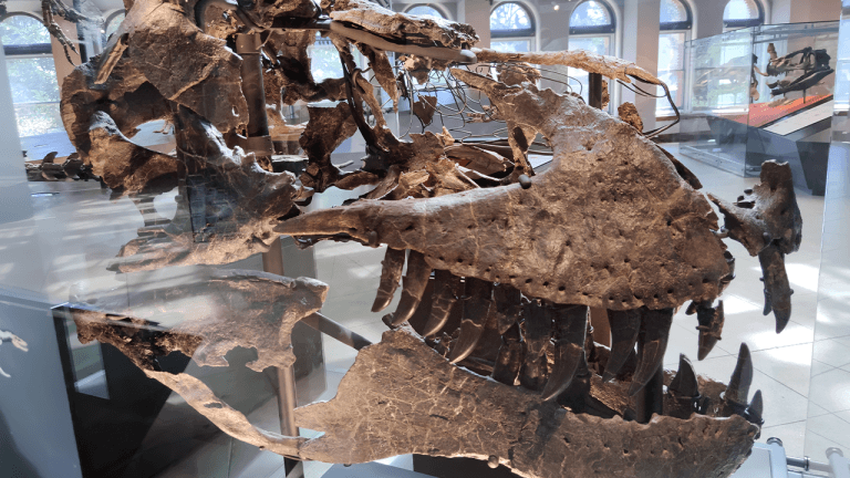 A 66 million year old tooth shows t. rex ran almost as warm as a human body