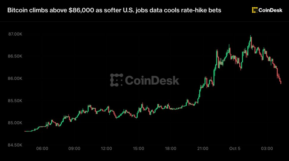 Bitcoin zooms toward $87,000, nearly setting an eight month high, then reverses