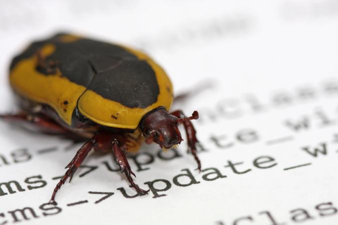 Xrp ledger bug fix moved to november after validator support dipped for two hours