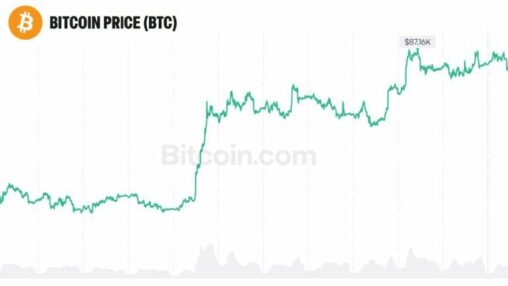 Bitcoin could reach $30 trillion like gold, bitwise cio says