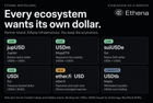 Ethena white label stablecoin ecosystem is growing